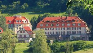 Rehakliniken Hessen: Reha-Kliniken Küppelsmühle in Bad Orb