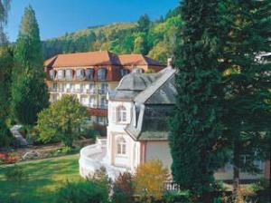 Rehakliniken Hessen: Klinik am Park in Bad Schwalbach