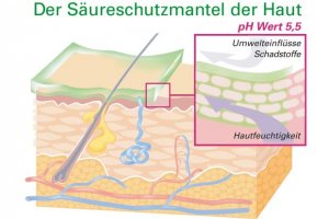 Ratgeber: Topfit durch die Erkältungszeit