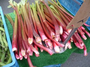 Aktuelles: Wie gesund ist Rhabarber?