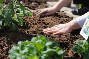 Frühlingserwachen im Garten: Tipps für eine rückenschonende Gartenarbeit Ratgeber: Frühlingserwachen im Garten: Tipps für eine rückenschonende Gartenarbe