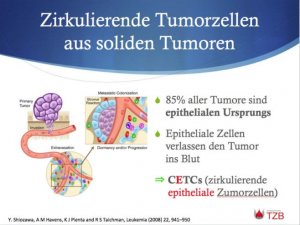 Aktuelles: Therapieoptimierung anhand zirkulierender Tumorzellen im Blut