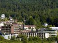 Rehaklinik Deutschland: Heinrich-Sommer-Klinik in Bad Wildbad Baden-Württemberg