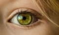 Aktuelles: Augengesundheit und Augenübungen: So trainieren Sie Ihre Sehmuskeln